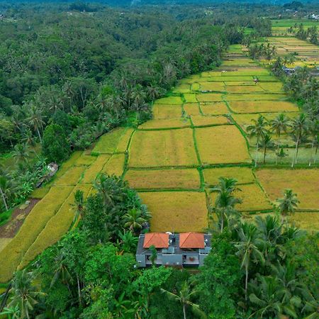The Alus Cottage And Villa Ubud Kültér fotó