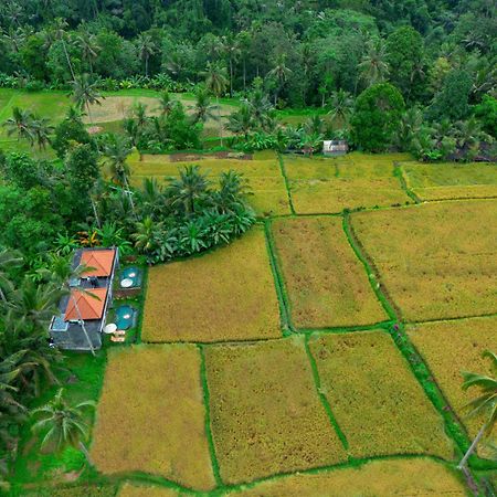 The Alus Cottage And Villa Ubud Kültér fotó