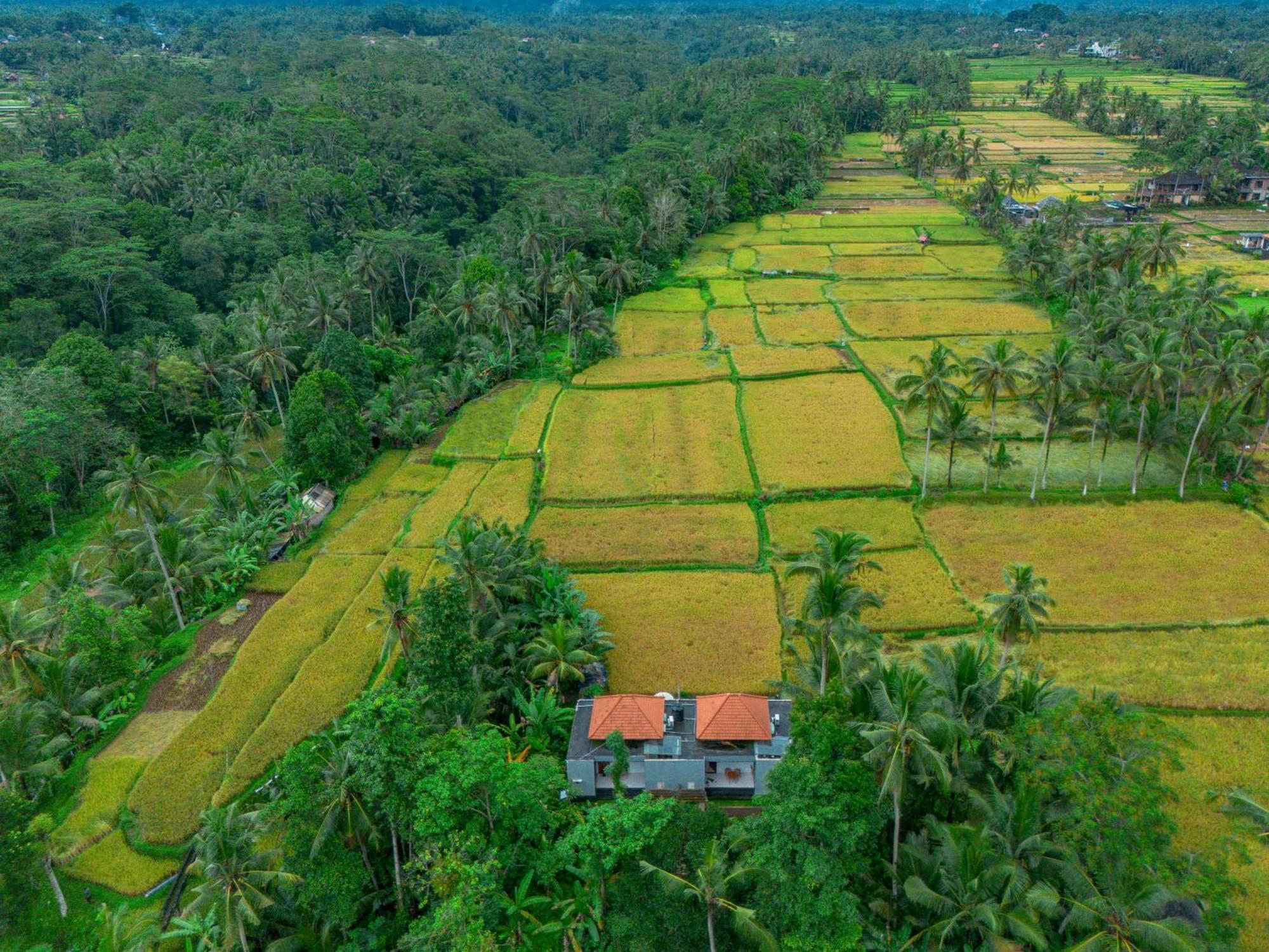 The Alus Cottage And Villa Ubud Kültér fotó