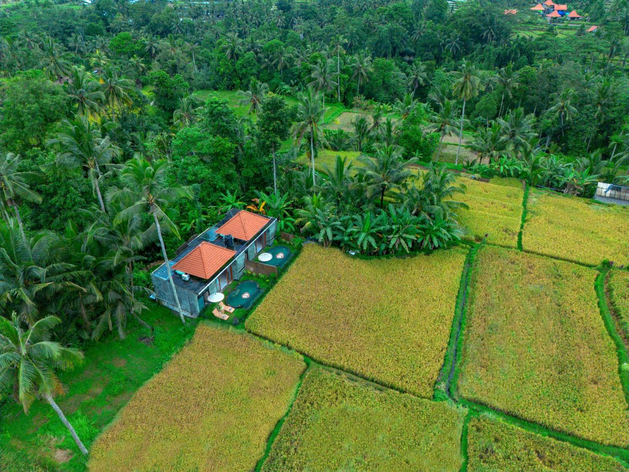 The Alus Cottage And Villa Ubud Kültér fotó