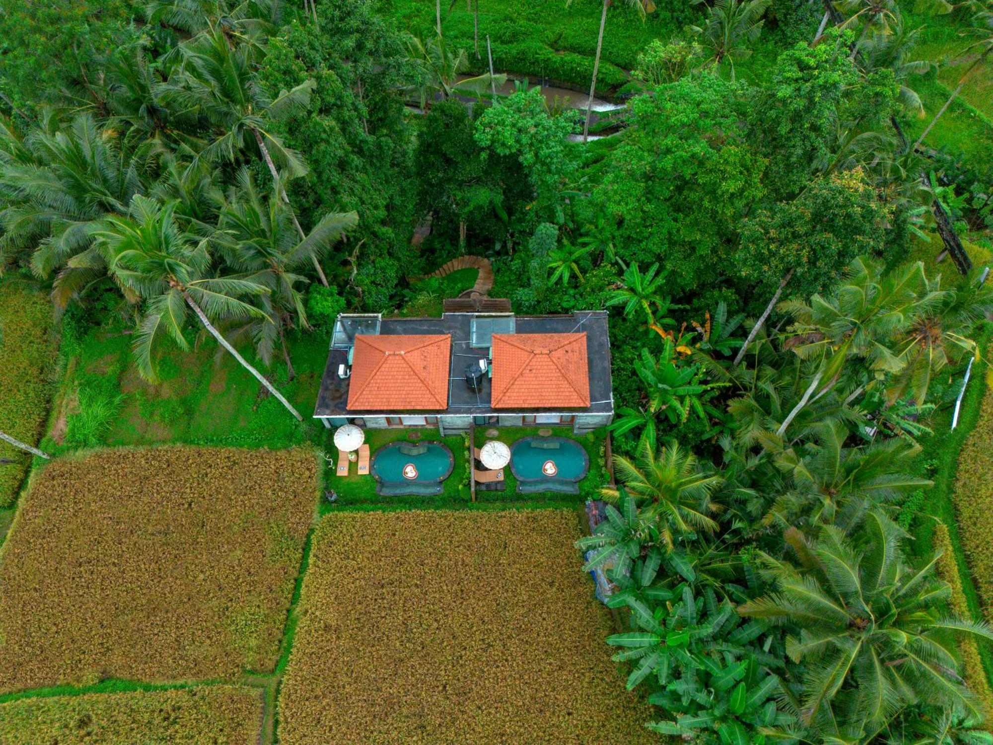 The Alus Cottage And Villa Ubud Kültér fotó